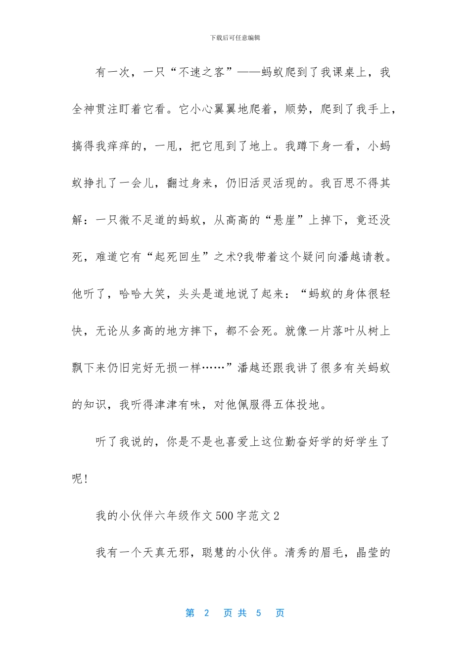 我的小伙伴六年级作文_第2页