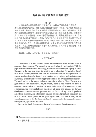 市场营销专业 新疆农村电子商务发展调查研究