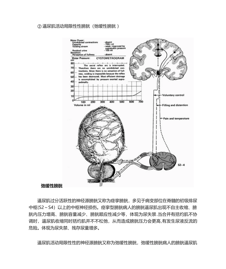 2025年排尿障碍评定_第3页