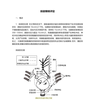 2025年排尿障碍评定