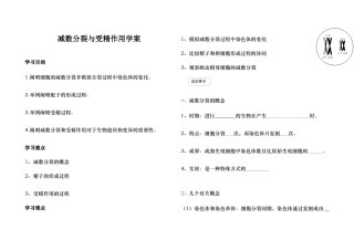 2025年减数分裂导学案