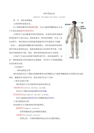 2025年神经系统总论