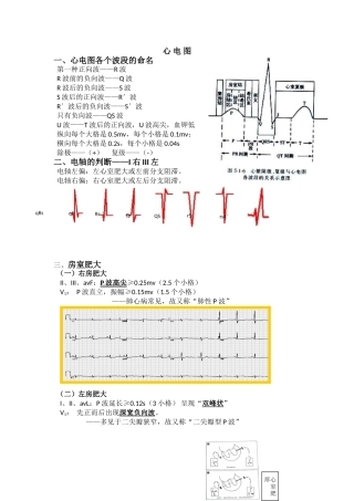 2025年心电图入门讲义