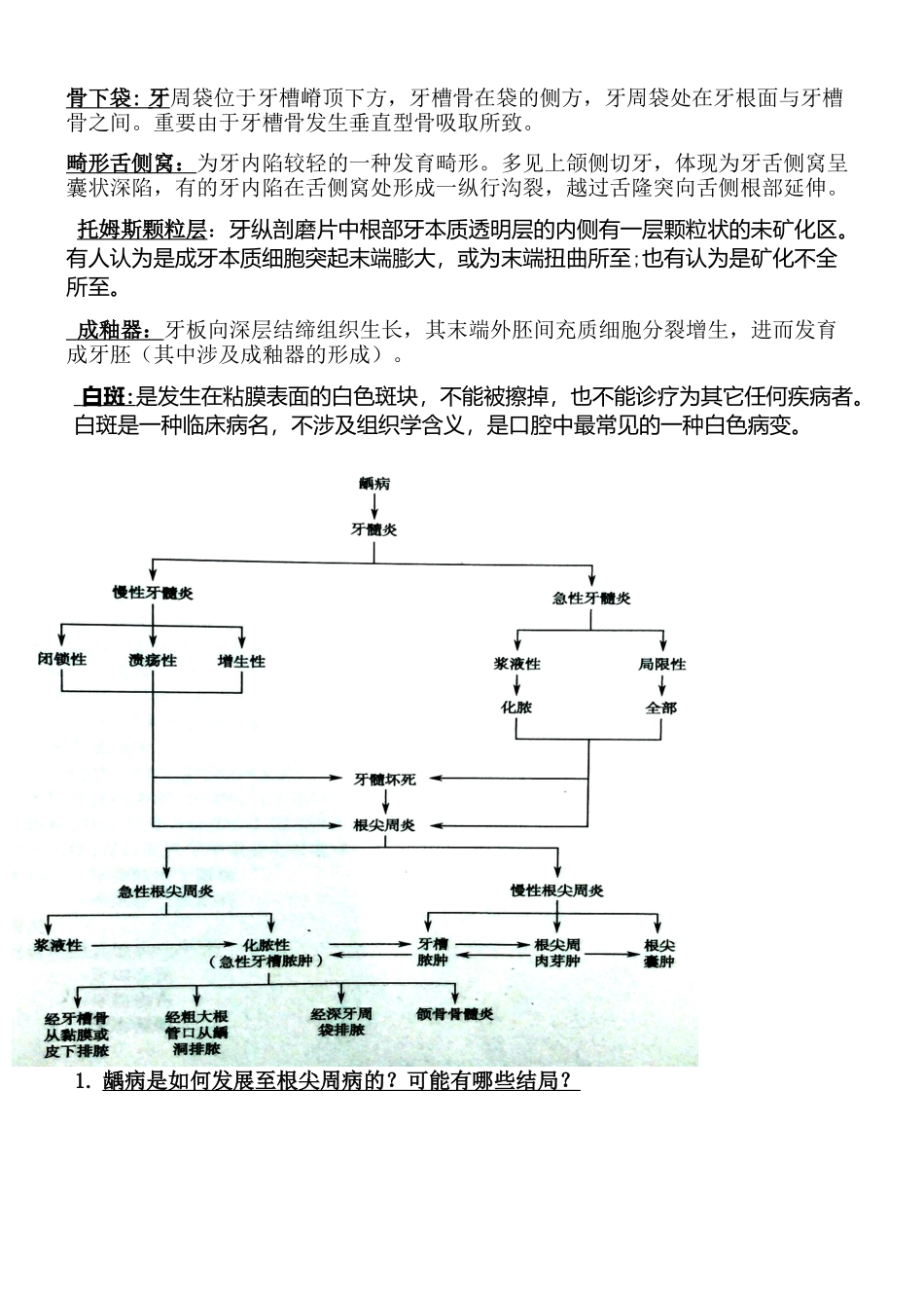2025年口腔组织病理学复习资料_第3页
