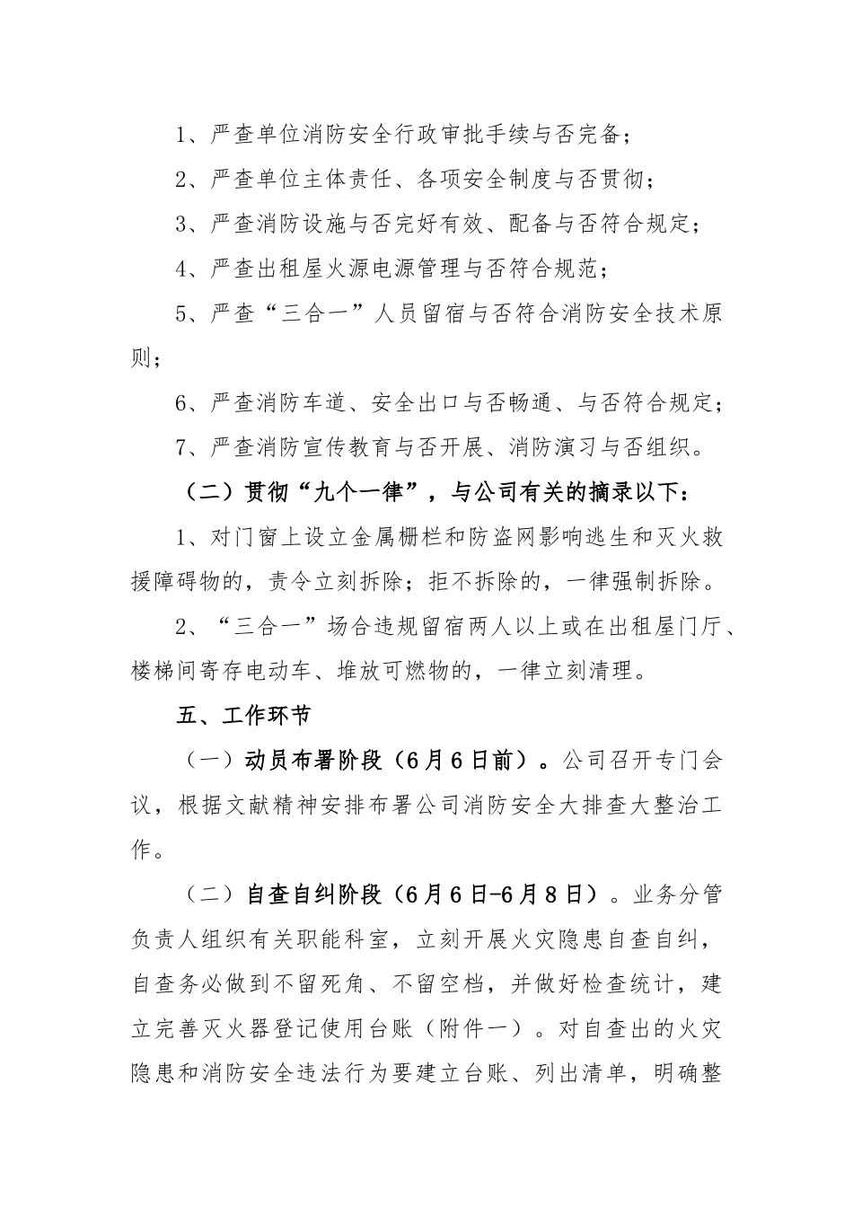 2025年消防安全大排查大整治活动方案_第3页