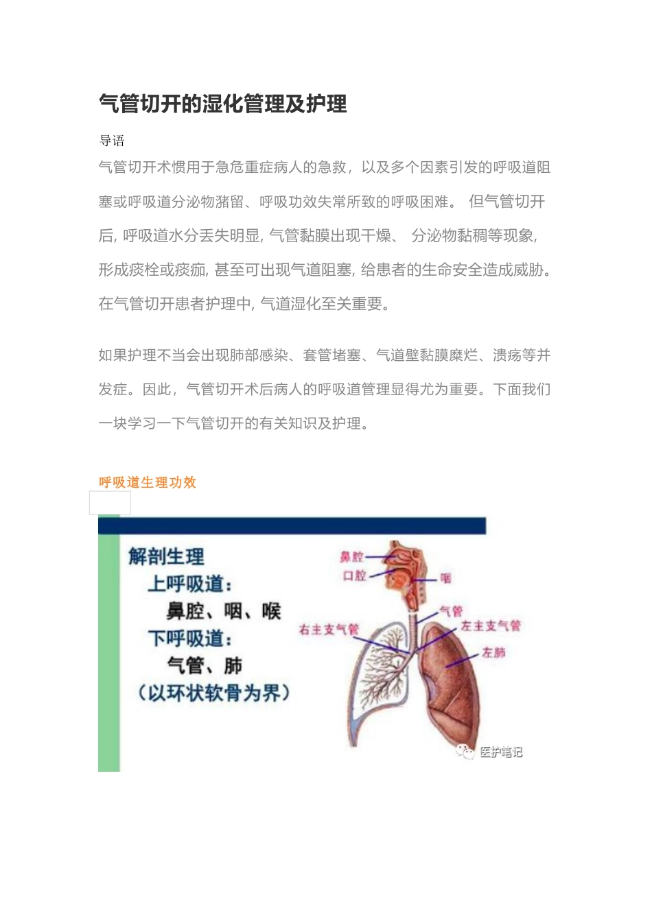 2025年气管切开的湿化管理及护理_第1页