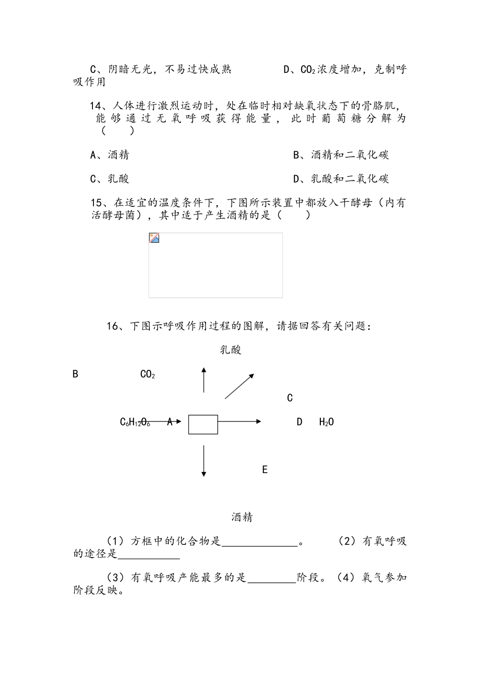 2025年细胞呼吸练习题_第3页