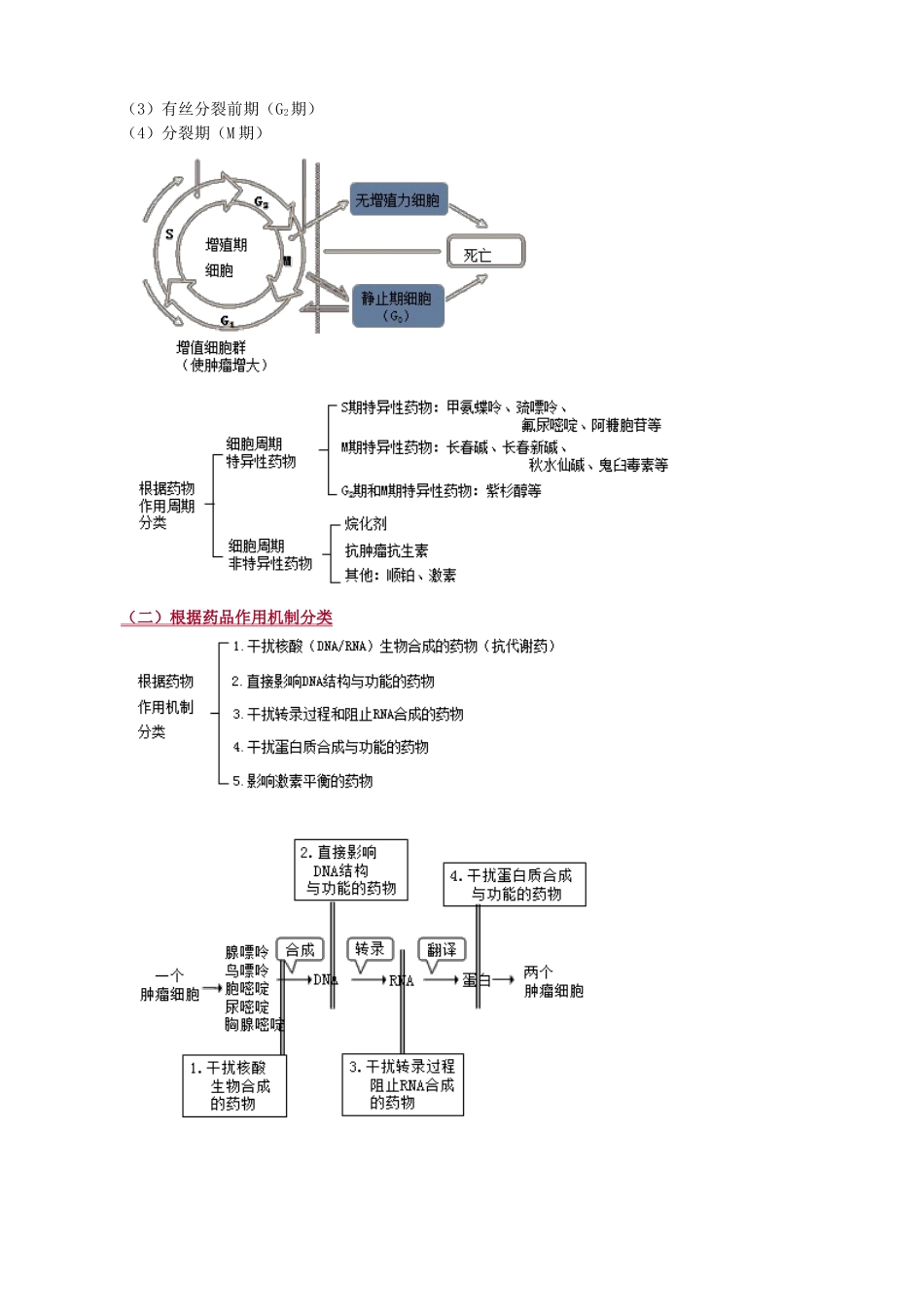 2025年抗恶性肿瘤药_第2页