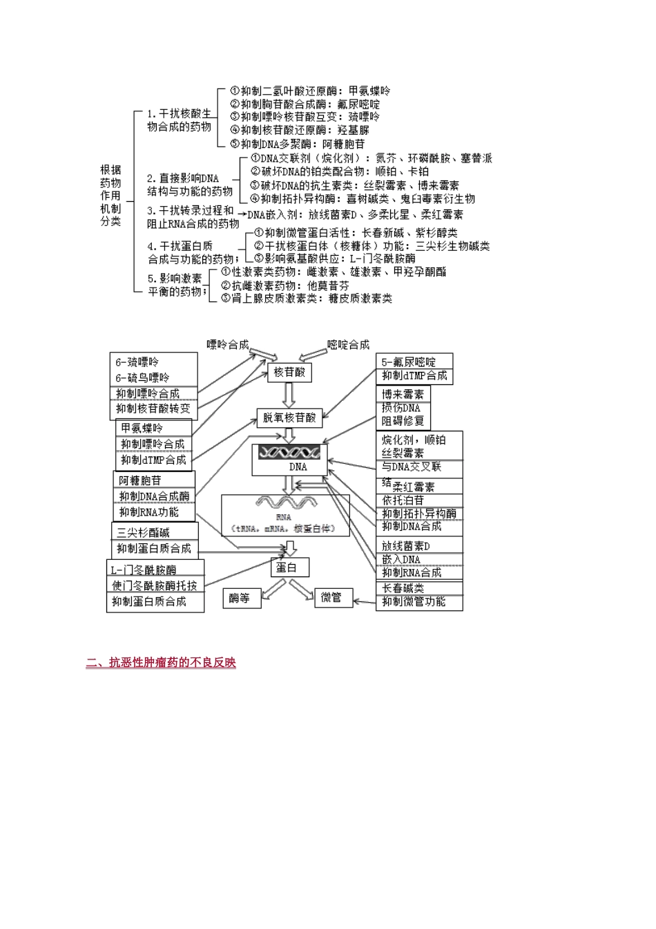 2025年抗恶性肿瘤药_第3页