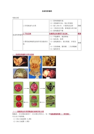 2025年抗恶性肿瘤药