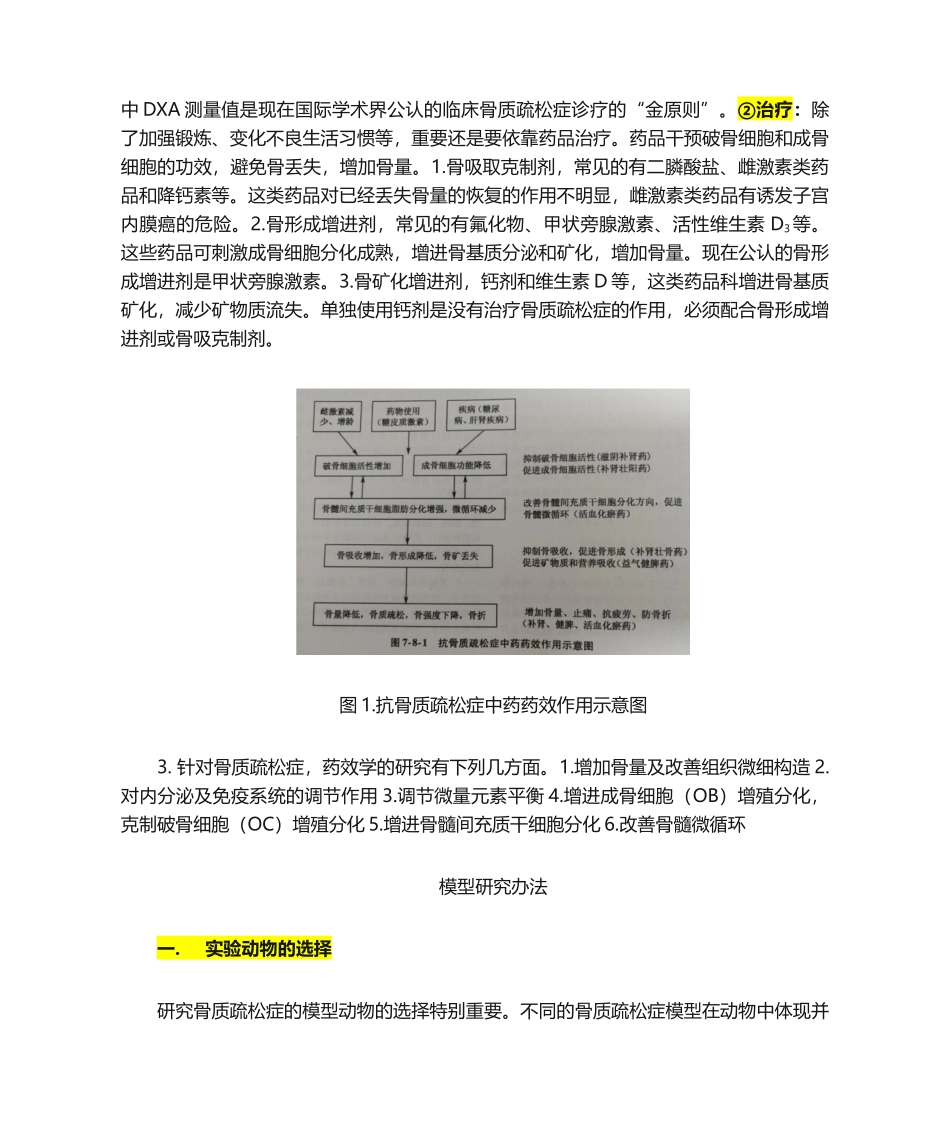 2025年骨质疏松常见模型_第2页