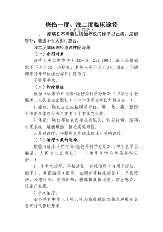 2025年烧伤一度浅二度