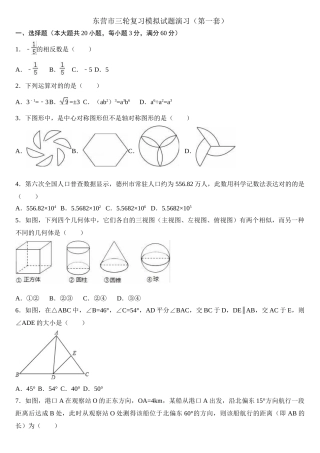2025年中考数学模拟试题