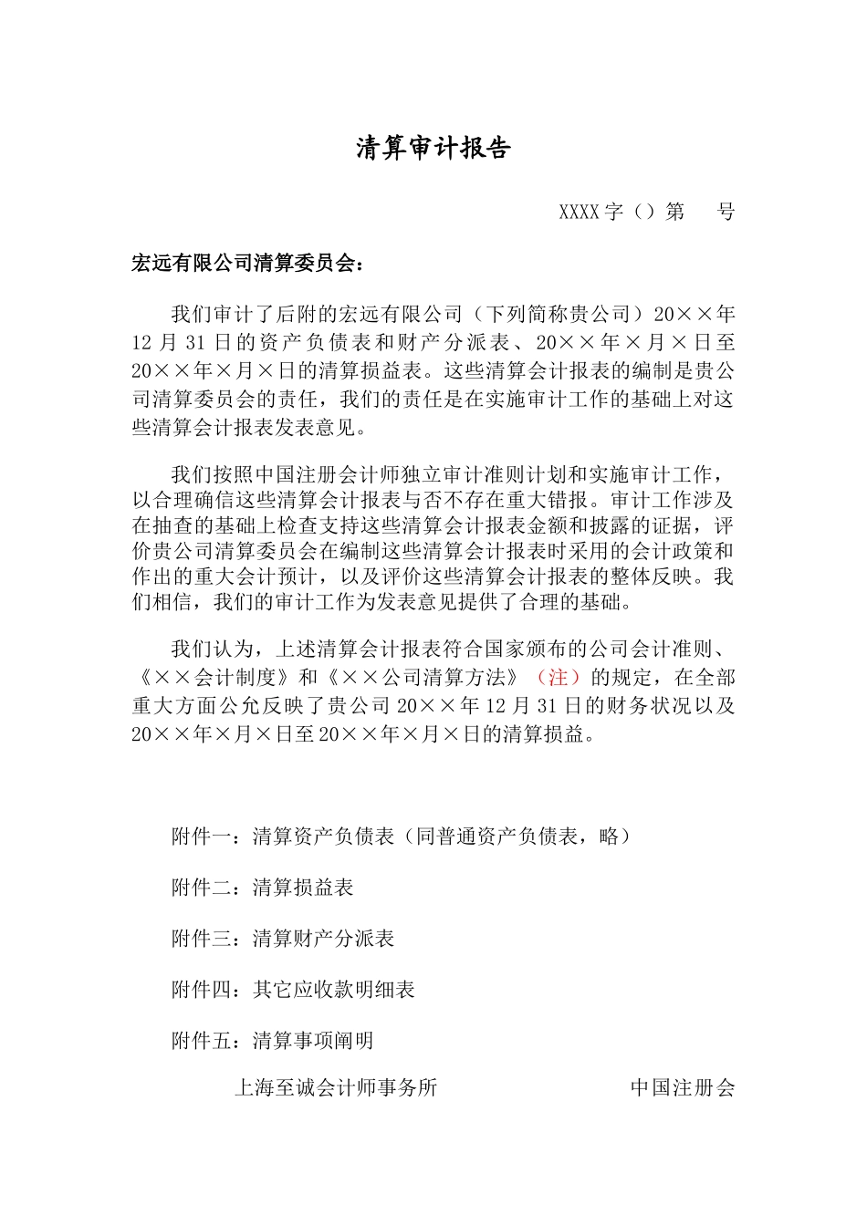 2025年清算审计报告_第1页