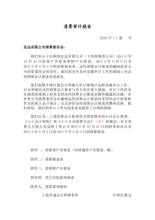2025年清算审计报告