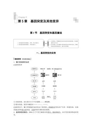 2025年人教版必修二基因突变和基因重组教案
