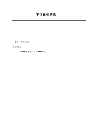 2025年审计报告模板