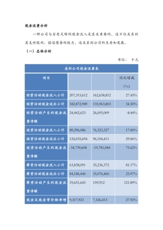 2025年现金流量分析