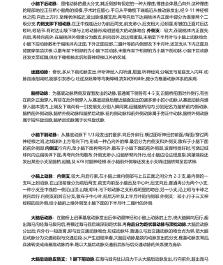 2025年桥小脑角解剖