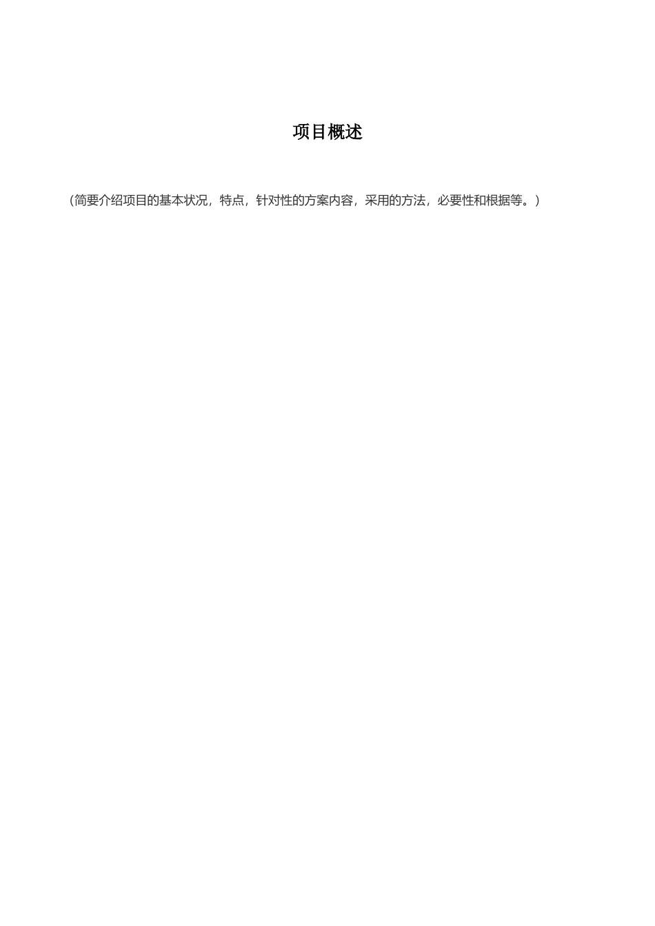 2025年项目方案模板_第3页