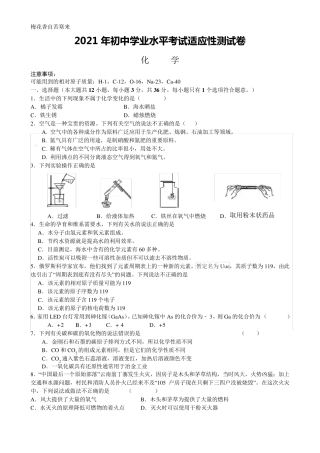 2021 化学适应性试卷及答案