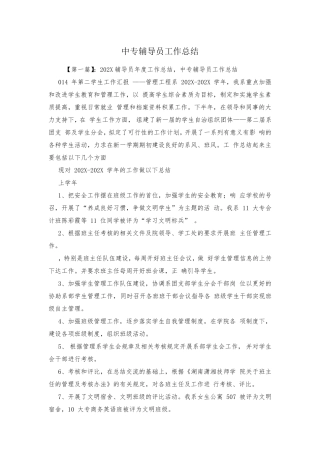 中专辅导员工作总结