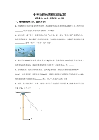 中考物理仿真模拟试题(有答案)