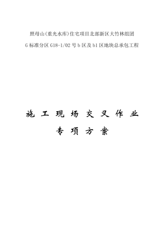 交叉作业专项方案