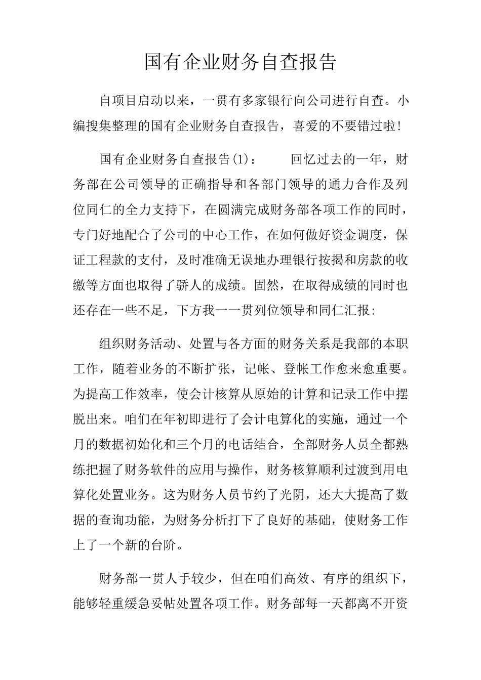国有企业财务自查报告_第1页