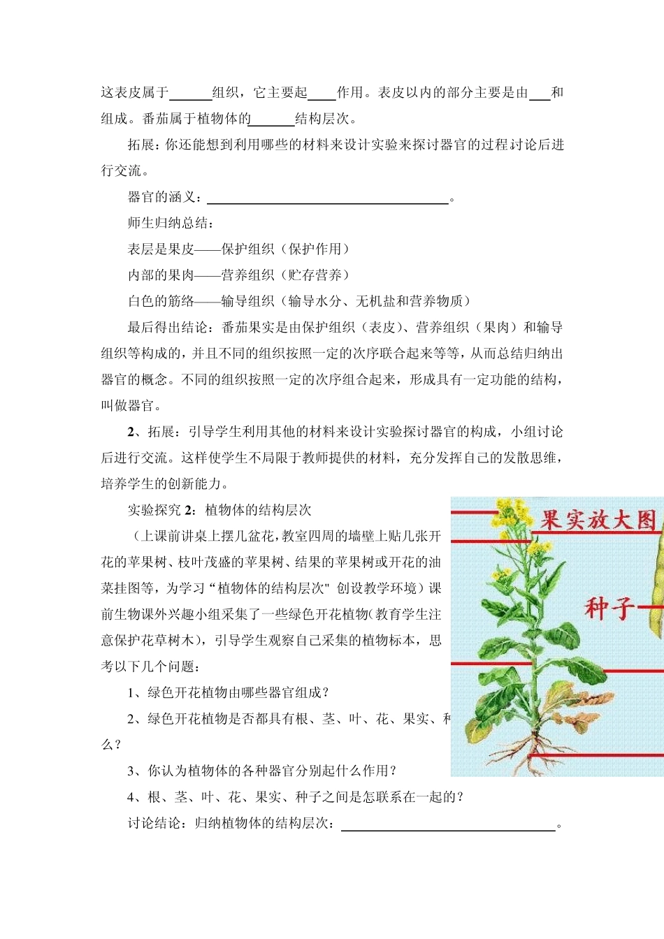 多细胞生物体结构层次_第3页