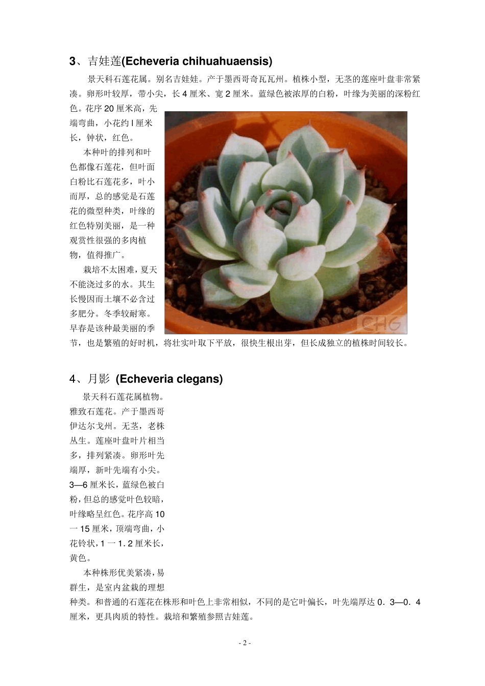多肉植物习性及栽培要领_第2页