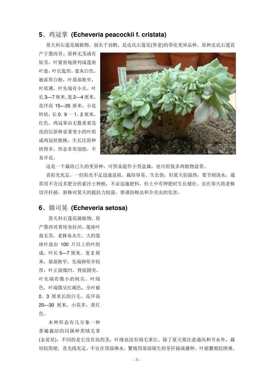 多肉植物习性及栽培要领_第3页