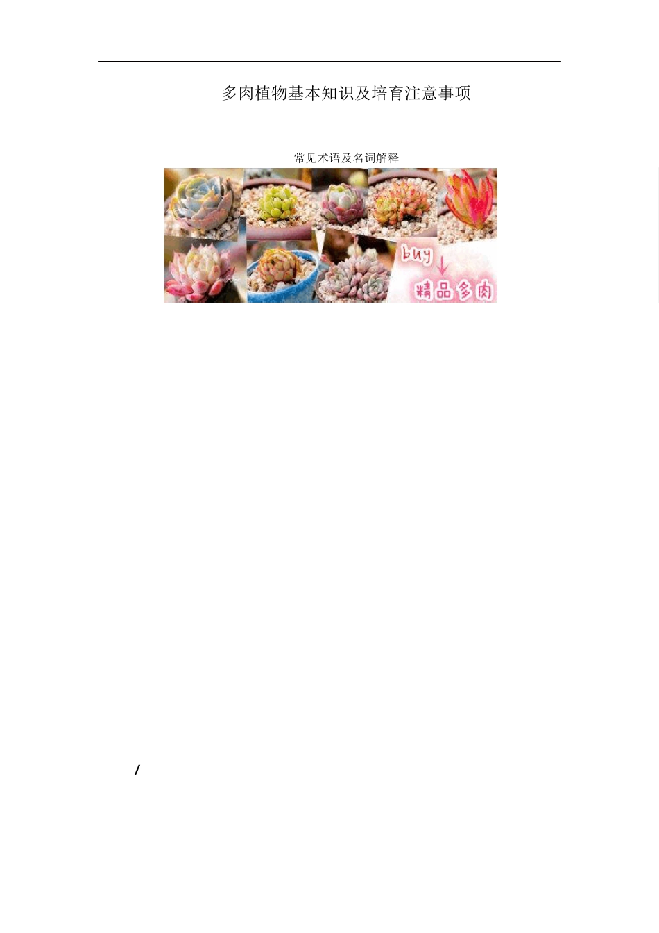 多肉植物基本知识及培育注意事项_第1页