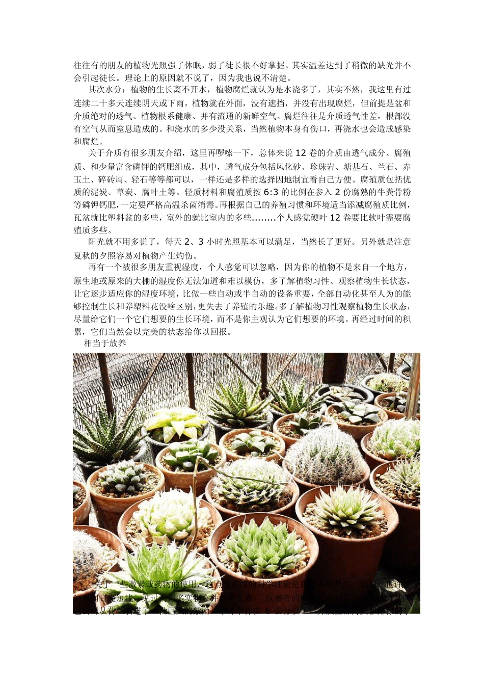 多肉植物十二卷植物养殖心得_第3页