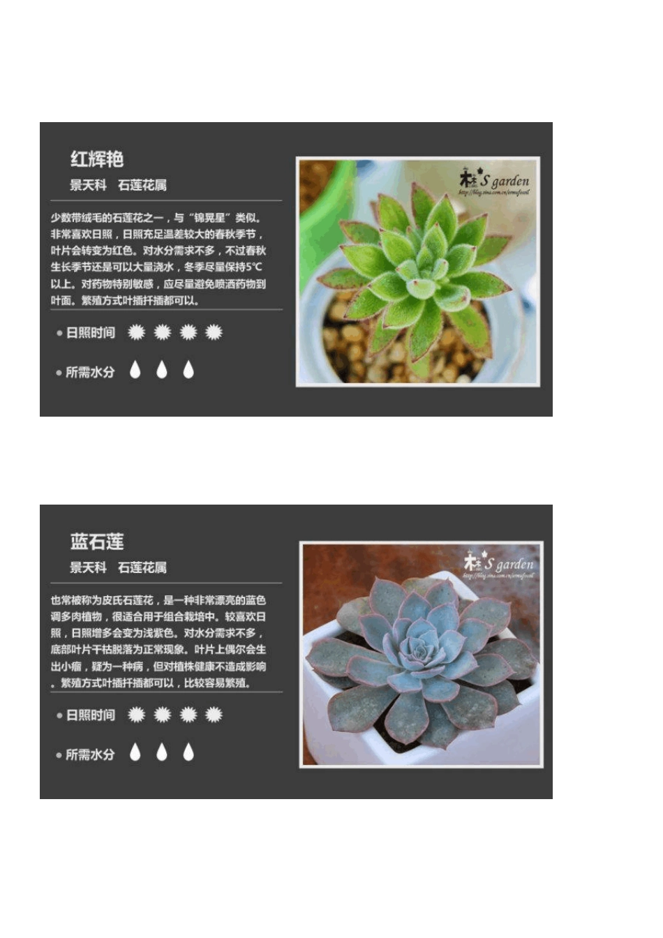 多肉植物图鉴2(作者：二木,本人整理)_第2页