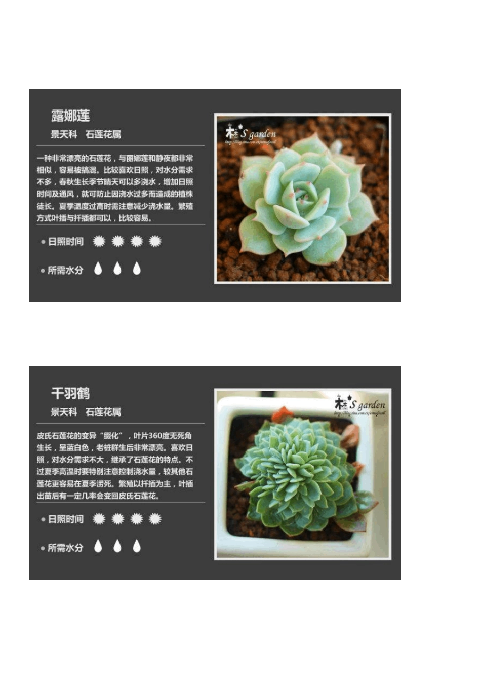 多肉植物图鉴2(作者：二木,本人整理)_第3页