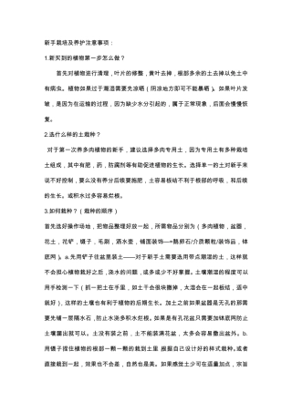 多肉植物新手养护注意事项