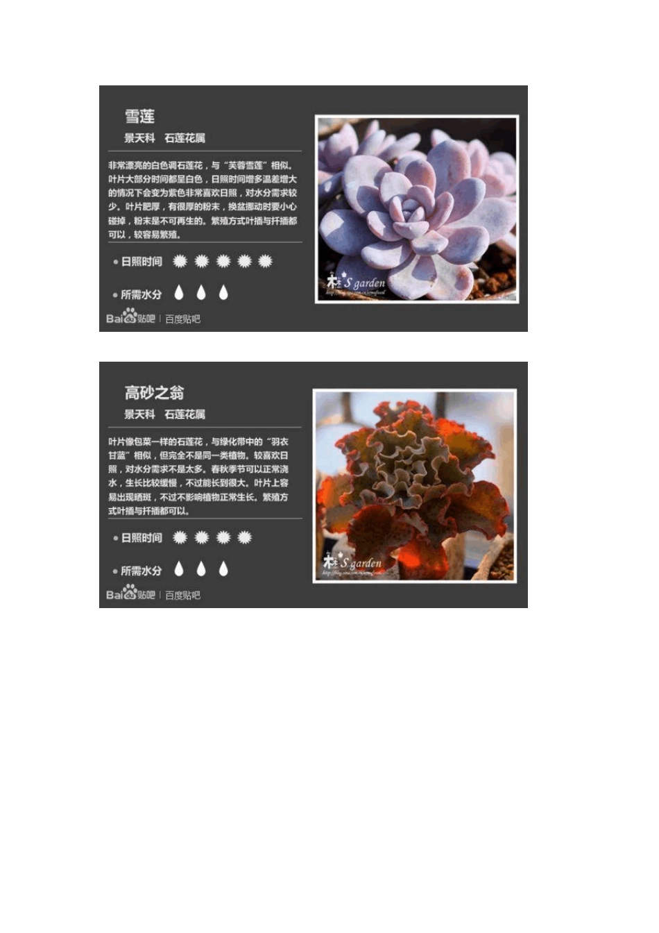 多肉植物大全149种_第1页