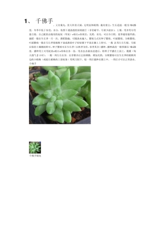 多肉植物科属分类汇总