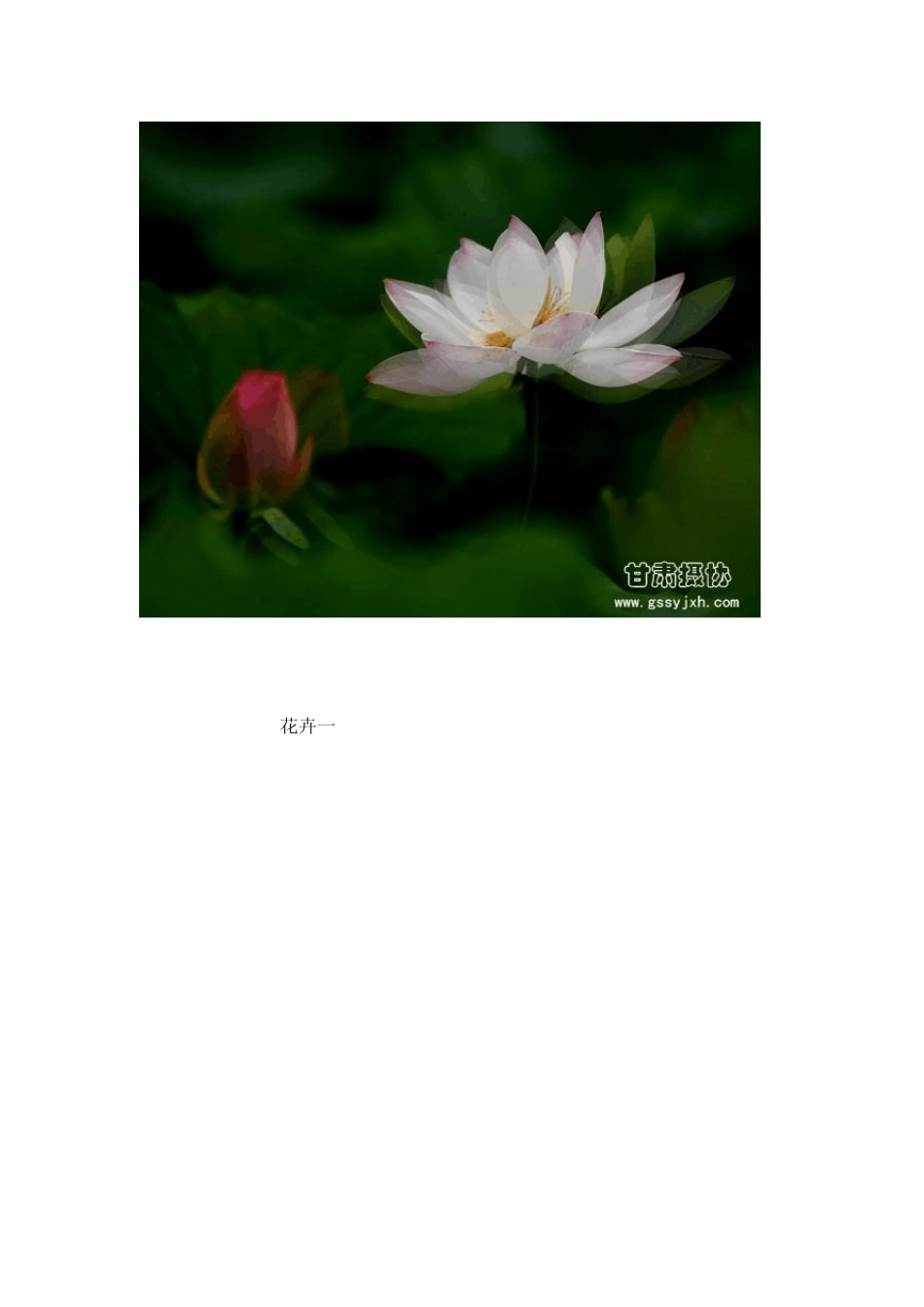 多重曝光和慢速摄影技巧_第3页