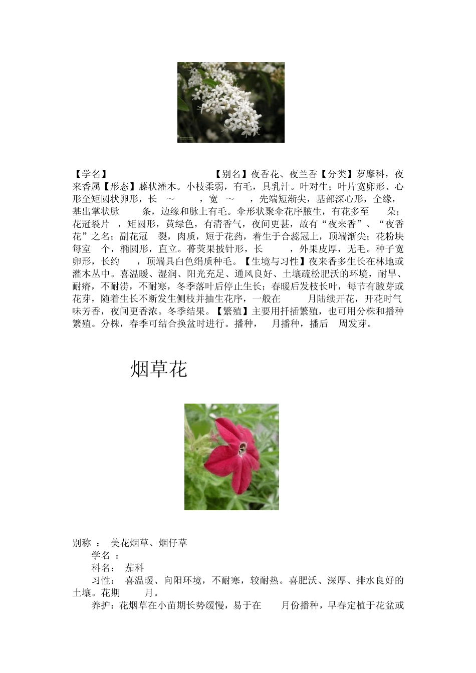 夜间开花的植物_第2页