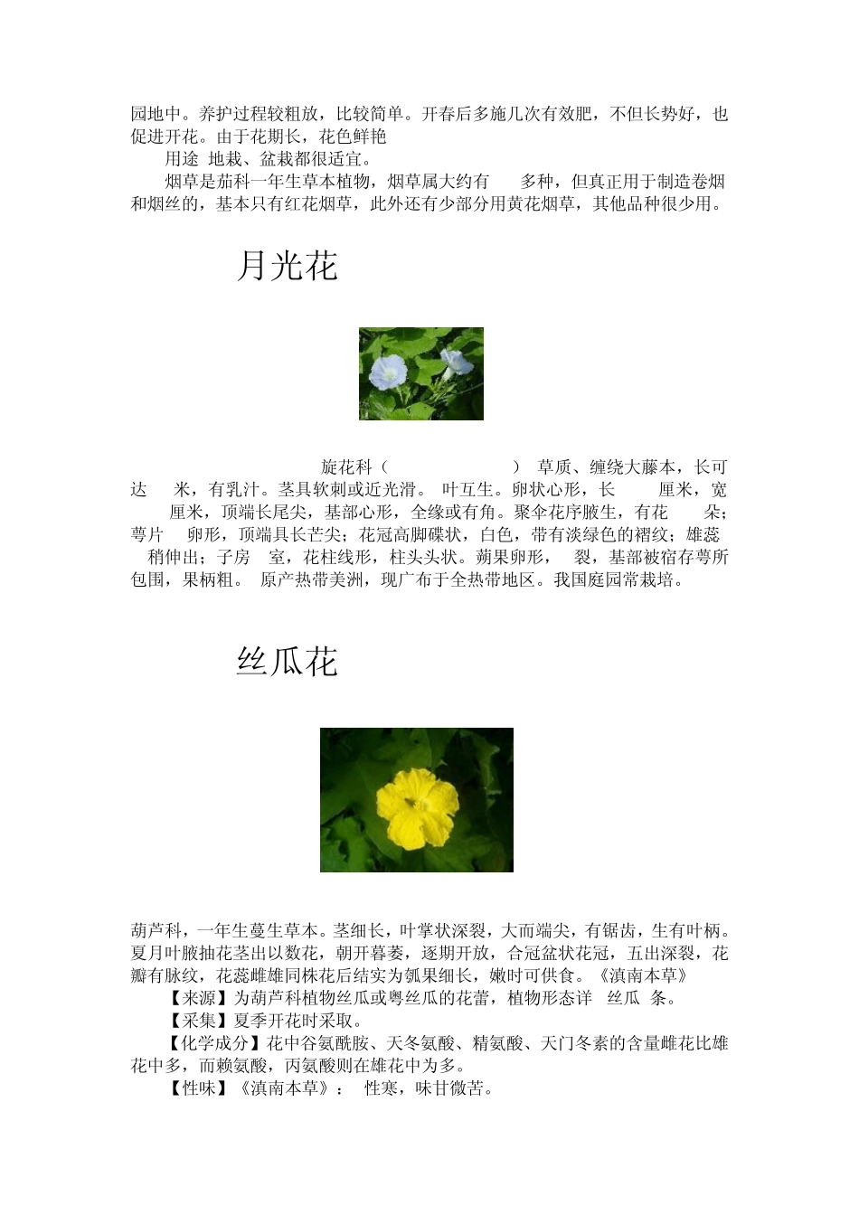 夜间开花的植物_第3页