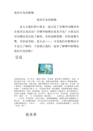 夜间开花的植物