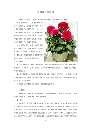 大丽花栽培技术