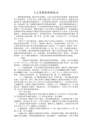 大五星枇杷种植技术