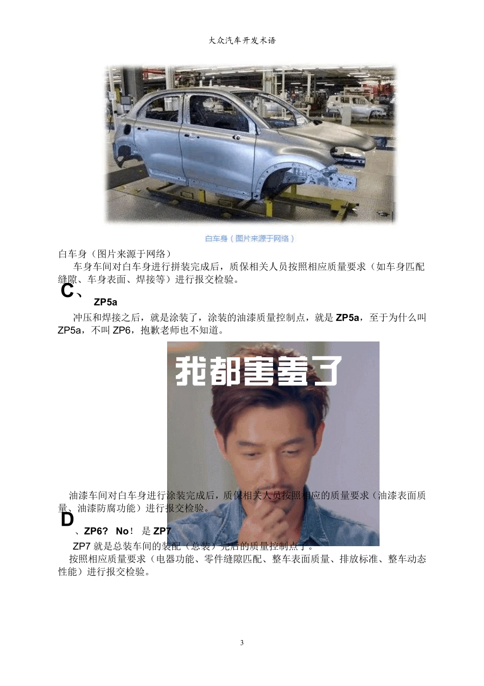 大众汽车开发术语解释_第3页