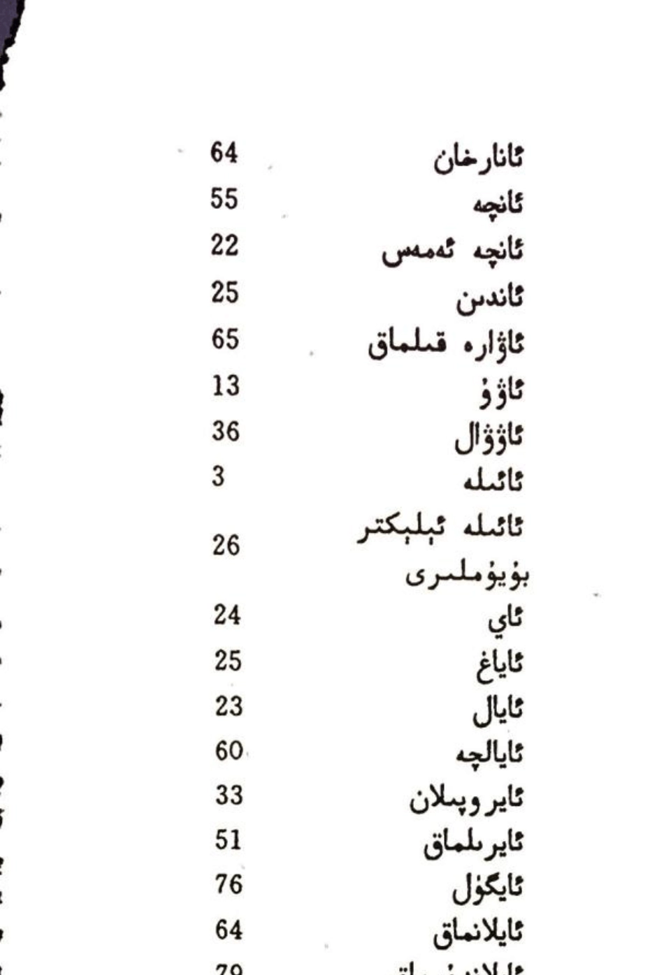 大众维语全册词汇表_第2页