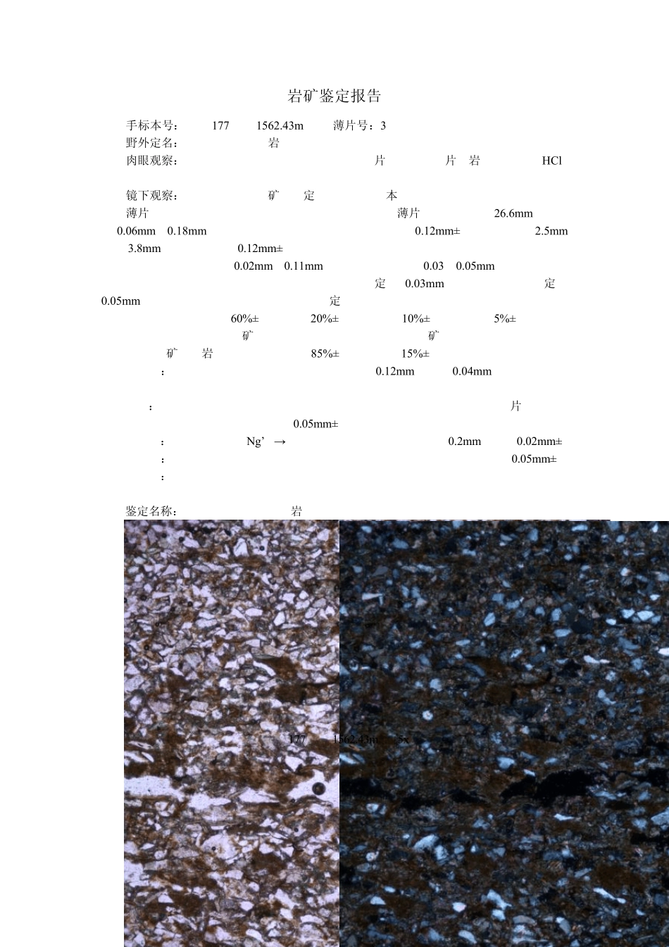 岩矿鉴定报告_第3页