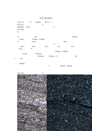 岩矿鉴定报告