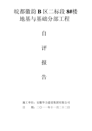 工程自评报告